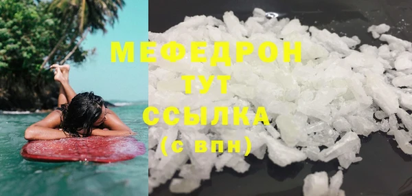 стаф Инта