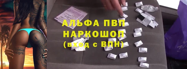 стаф Инта