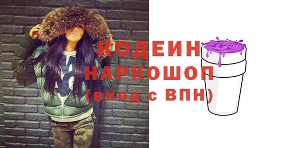 стаф Инта