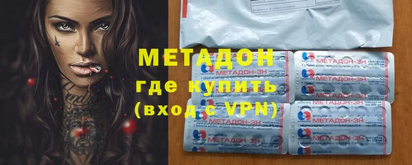 стаф Инта